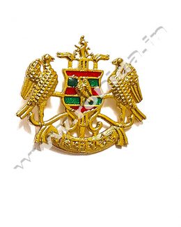 Rathore Cap Brooch Logos