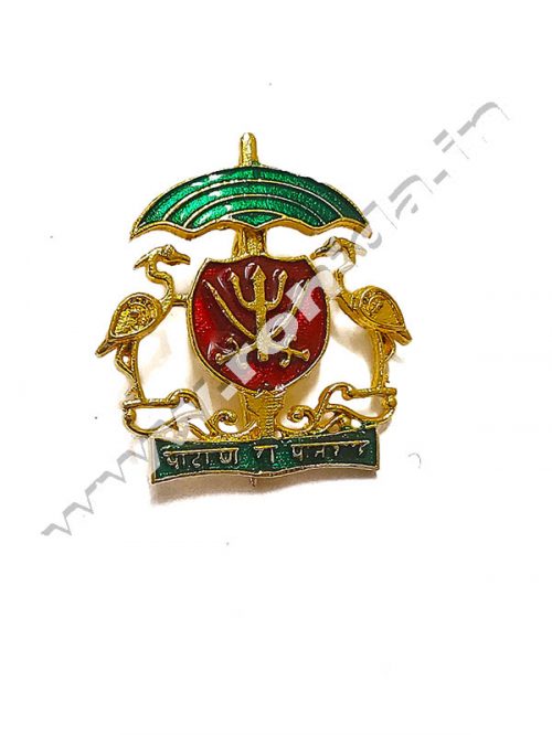 Solanki Cap Brooch ( Logos )
