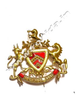 Banswara State Cap Brooch ( Logos )