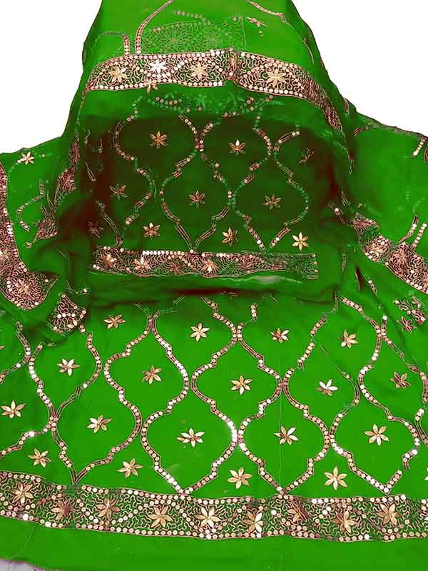 Dabbi jaal Creep and Thakurji odhna With Taari hand work