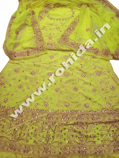 Light  Yellow Green colour  aari taari jarri work thakurji pyor odhna