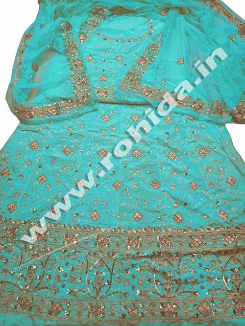Sky Blue colour  aari taari jarri work thakurji pyor odhna