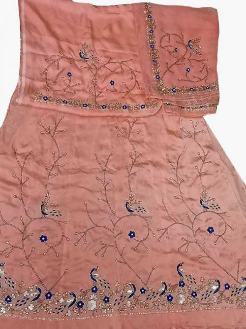 peach colour poshak beember saatan jardoji and salma hand work