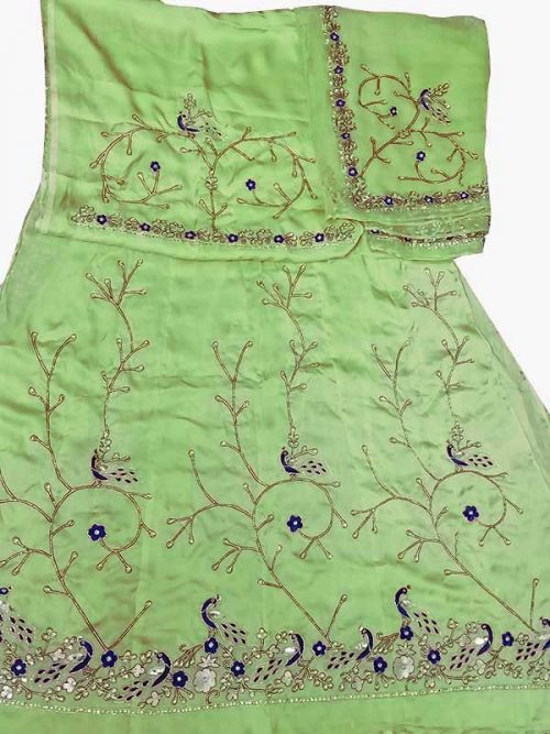 light green poshak beember saatan jardoji and salma hand work