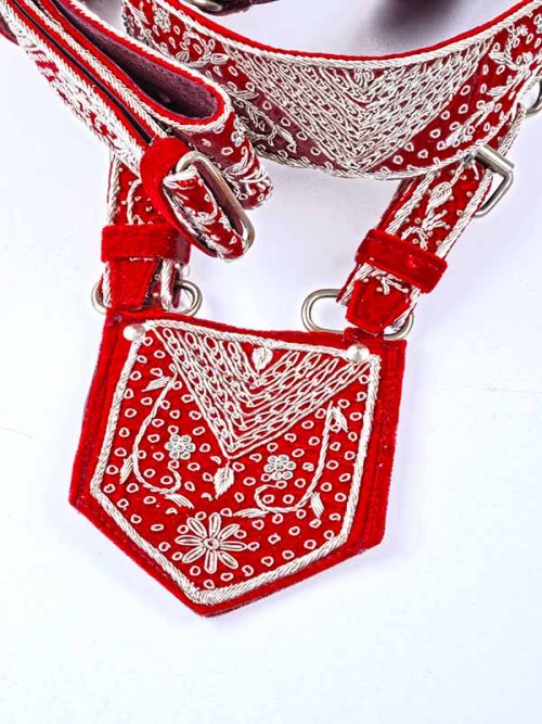 Cross belt With Plain Buckle - Image 3