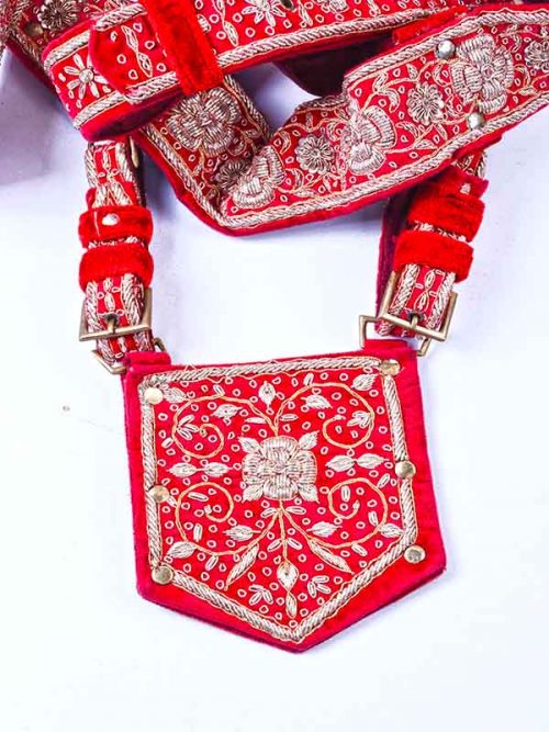 Cross belt With Plain Buckle - Image 3