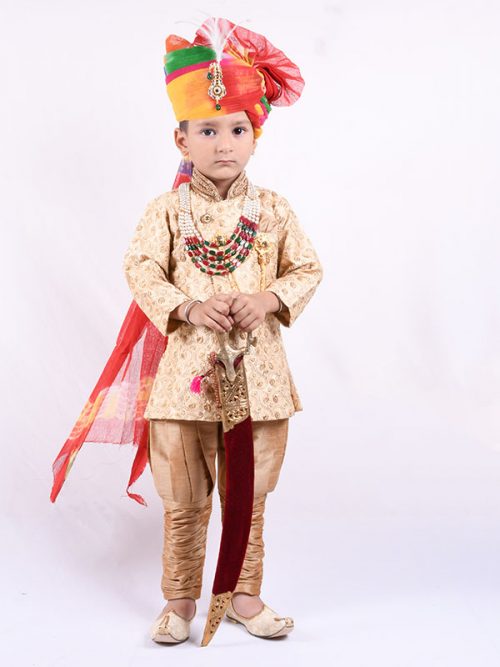 Royal Look Chotte Bannasa Sherwani - Image 4