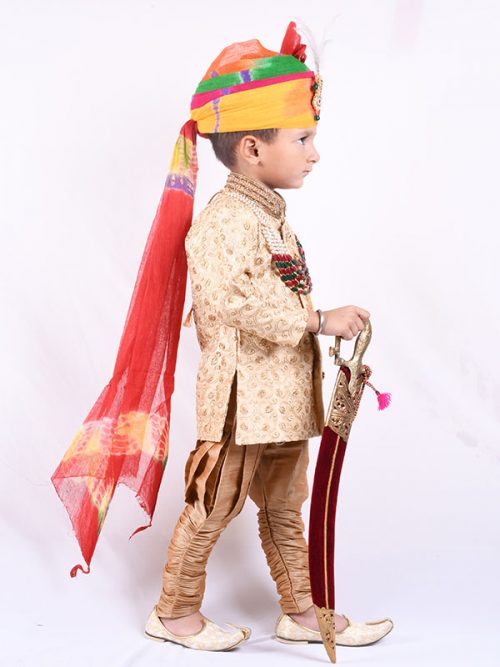Royal Look Chotte Bannasa Sherwani - Image 3