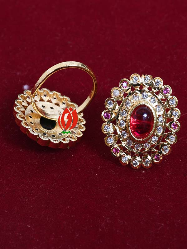Read more about the article Ring’s