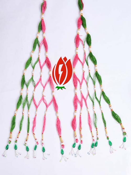 Resham Pink And Green  Rajwadi Loom